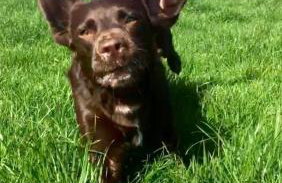 The parlour - Foto 25