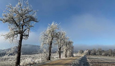 Ferienwohnung Bleicherode - Photo 3