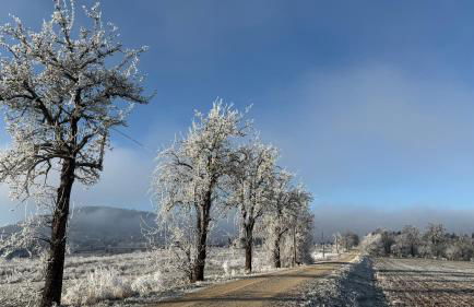 Ferienwohnung Bleicherode - Foto 3