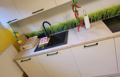 Apartament Biała Flaga nad Jeziorem Charzykowskim - Foto 17