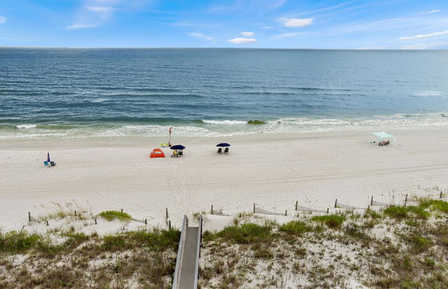 The Vue 4B - Harvesting Sunshine III - Foto 70