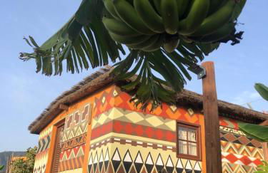 Afrikan Krisant Tenerife, Casa Rural Ecologica - Foto 19