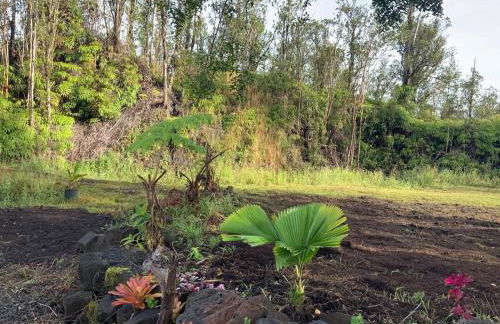 Majestic Banya tree cabin - Foto 34