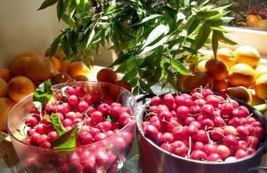 Summer-house OASIS on quiet street in ROCKRIDGE - Photo 2