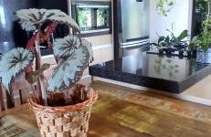 Belíssima casa de praia com piscina - Photo 34