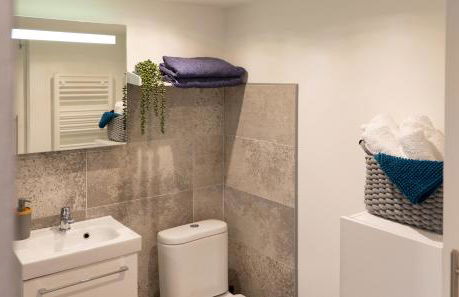 Larroque Haute Gites - Foto 44