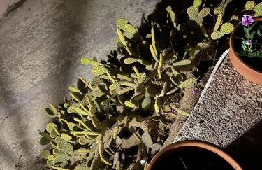 Marina Castellana Studios II - Foto 71