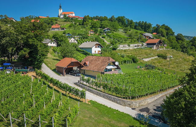 Vineyard Cottage Hocevar With Sauna - Photo 22