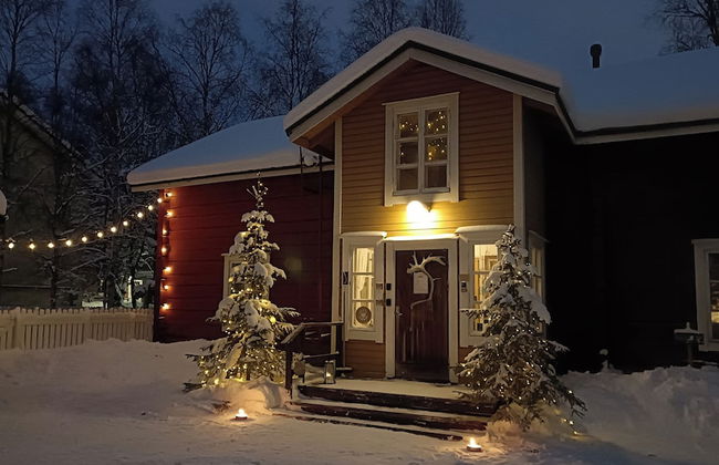 LAURI Historical Log House Manor - Photo 40