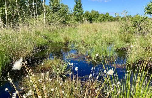 Holiday home with 4 bedrooms - Foto 32