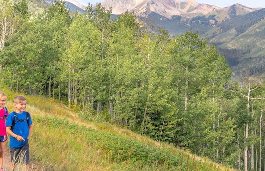 Aspenwood - CoralTree Residence Collection - Photo 26