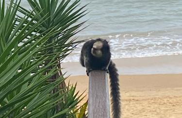 Apartamento Enseada Azul - Foto 21