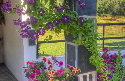 Casa Lerryn - Foto 18