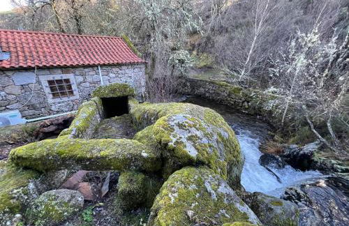 Moinho de Brião - Foto 20