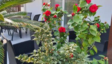 Residence Klima House de Vilos - Foto 3