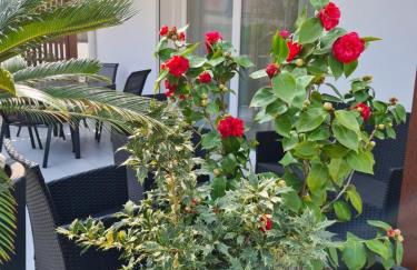 Residence Klima House de Vilos - Foto 3