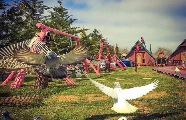 Nirvana New World Hotel Agva - Foto 24