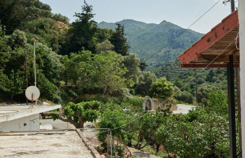 Studio Batilas - Foto 15