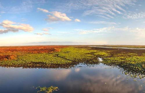 The Gator Grove Retreat - Foto 26