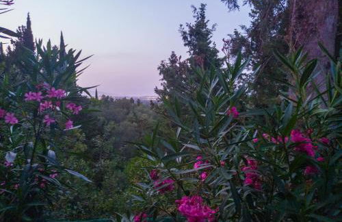 Linda House Corfu - Foto 57