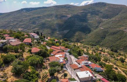 Eagle's nest - Photo 16