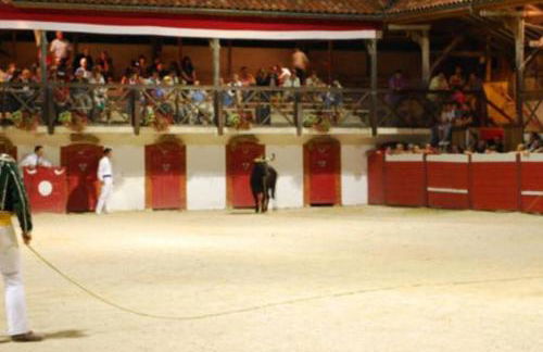 Gite La Saubolle à Marciac - Photo 41