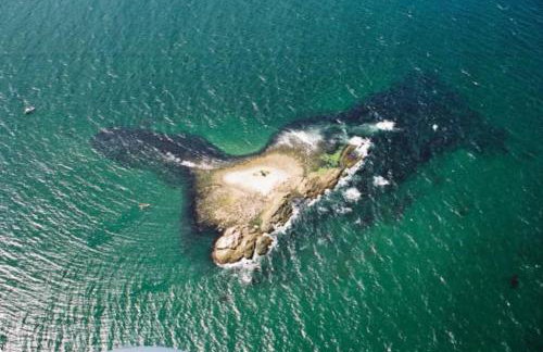 Apartamento aconchegante próximo ao mar em Itapoá - Photo 19