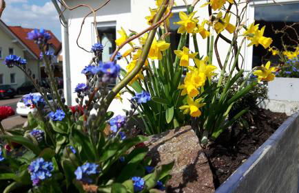 Ferienapartment Schlosser - Foto 16