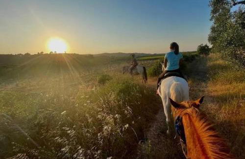 Villetta immersa nel verde - Foto 55