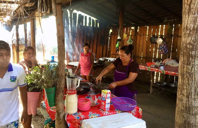 Excursion to Tres Palos Lagoon & Crocodile Reserve - Foto 7