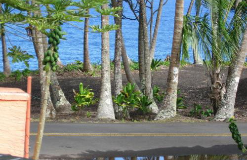 Oceanfront Cottage Near the Kalapana Lava Flows - Foto 14