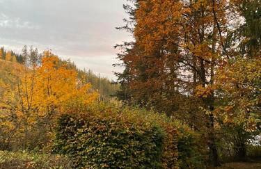 Ferienhaus Talblick, im Luftkurort Finsterbergen - Photo 35