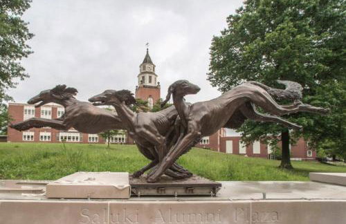 Luxury 4BR Log Cabin Near SIU & Wine Trail - Foto 41