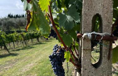 Podere Campanella - Photo 35