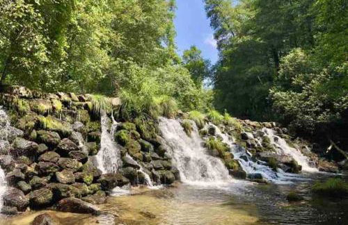 Casa Mira Tâmega - Foto 38