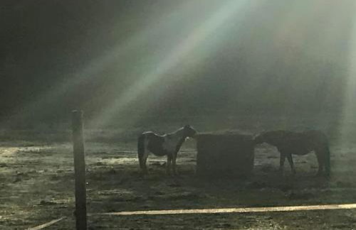 Peaceful, comfortable retreat with pool - Foto 56