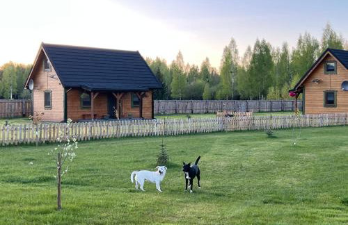 Siedlisko Jaskółka - Puszcza Białowieska - Foto 35