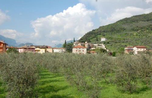 Appartamento Betulla - Peaceful & Happy Stay - Foto 23