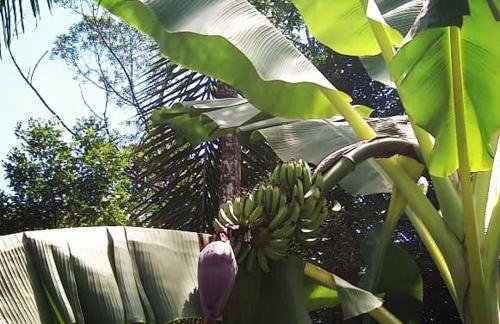 La Luciole Ecolodge - Foto 39