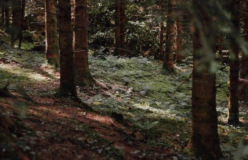 BodenSEE Apartment Neukirch Goppertsweiler HASE - Foto 27