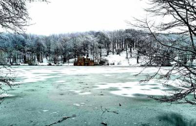 The Dotterry - Foto 24