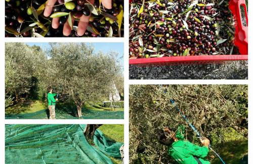 Agriturismo Etico Le Grazie - Foto 34