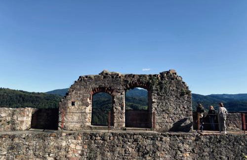 Hochburger 21 - Photo 13