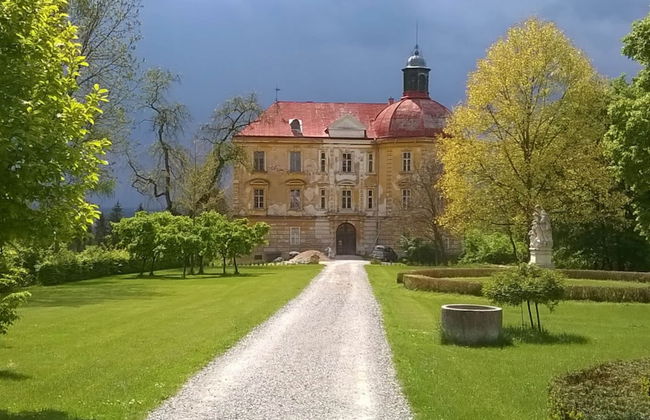 Aurelia - Gut Hornegg - Foto 24