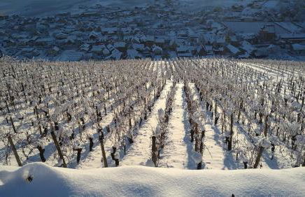 Un petit coin d’Alsace - Foto 28