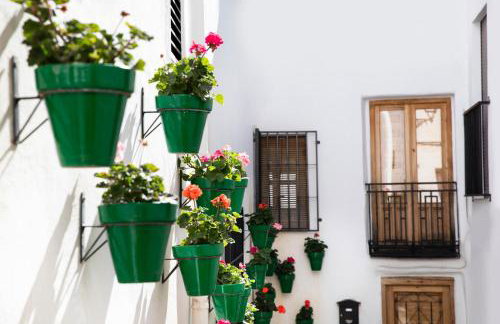 tuGuest Carataunas Apartment II Alpujarra - Foto 27