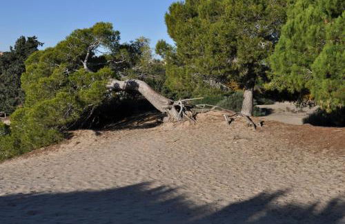 Costahispania 308 - Foto 40