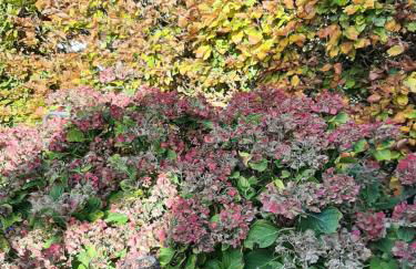 Atelierwohnung - Foto 15