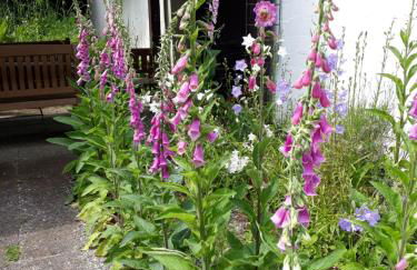 Atelierhaus Tannenweg - Foto 14