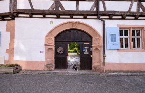 Maison Kobold XVIè siècle - Foto 46